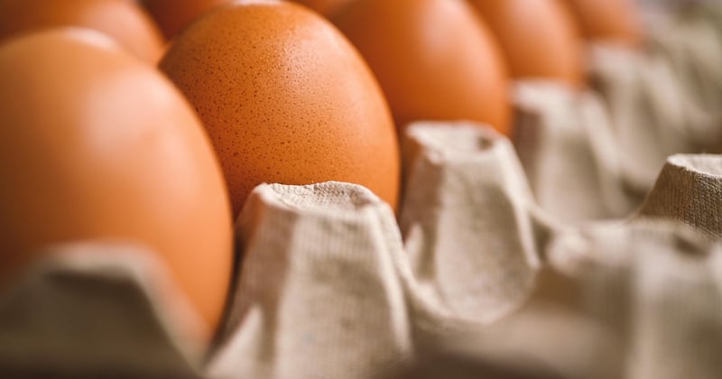 Le soleil pour tous : comment la démocratisation du four solaire passif change la donne